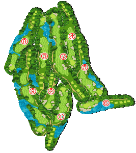 コース全体俯瞰図