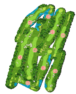 コース全体俯瞰図