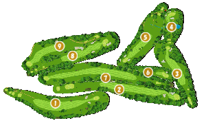 コース全体俯瞰図