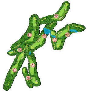 コース全体俯瞰図