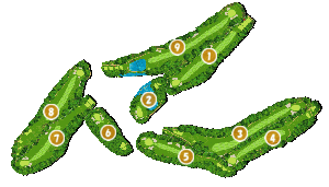 コース全体俯瞰図