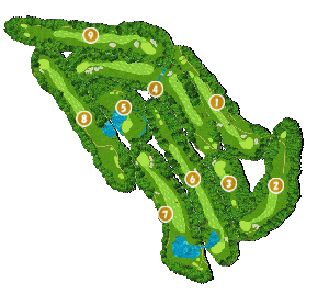 コース全体俯瞰図