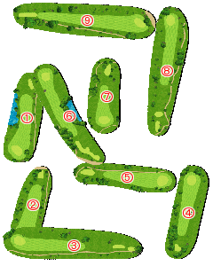 コース全体俯瞰図