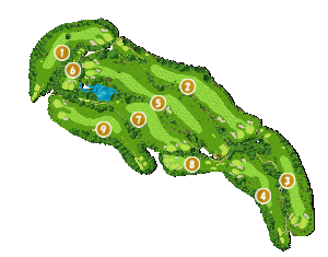 コース全体俯瞰図