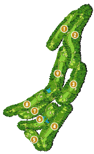 コース全体俯瞰図