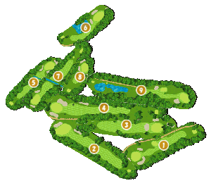 コース全体俯瞰図