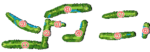 コース全体俯瞰図