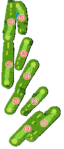 コース全体俯瞰図