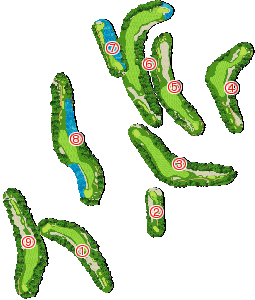 コース全体俯瞰図