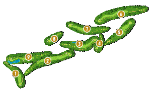 コース全体俯瞰図