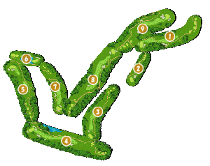 コース全体俯瞰図