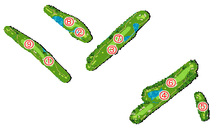 コース全体俯瞰図