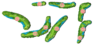 コース全体俯瞰図