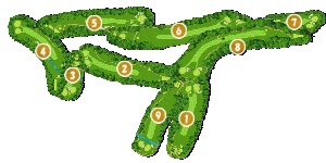 コース全体俯瞰図