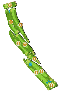 コース全体俯瞰図