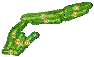 コース全体俯瞰図