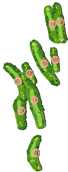 コース全体俯瞰図