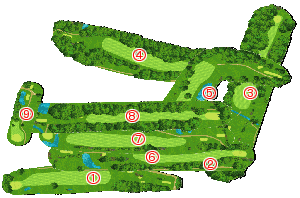 コース全体俯瞰図