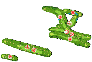 コース全体俯瞰図