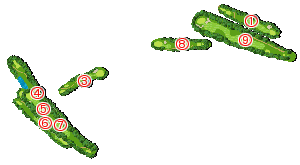 コース全体俯瞰図