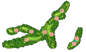 コース全体俯瞰図