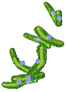コース全体俯瞰図