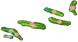 コース全体俯瞰図