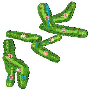 コース全体俯瞰図