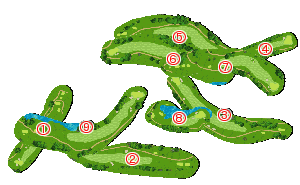 コース全体俯瞰図