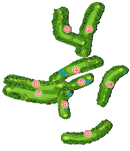 コース全体俯瞰図