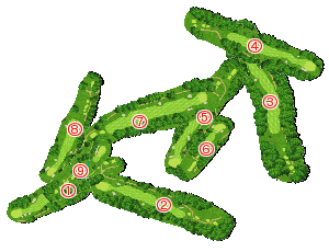 コース全体俯瞰図