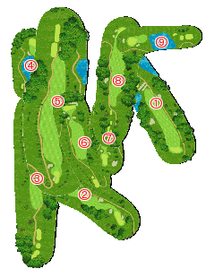 コース全体俯瞰図
