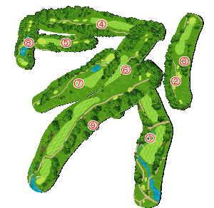 コース全体俯瞰図