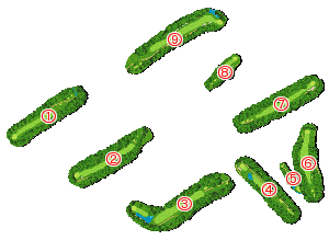 コース全体俯瞰図