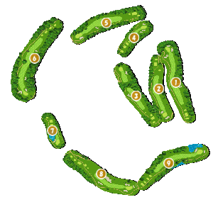 コース全体俯瞰図