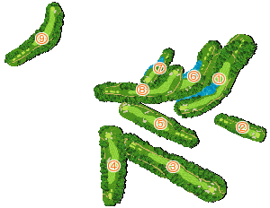 コース全体俯瞰図