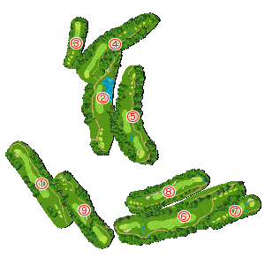 コース全体俯瞰図