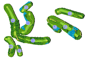 コース全体俯瞰図