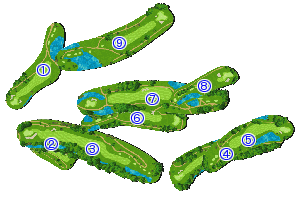 コース全体俯瞰図