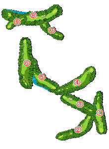 コース全体俯瞰図
