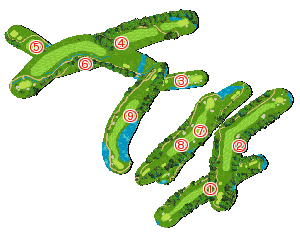 コース全体俯瞰図