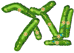 コース全体俯瞰図