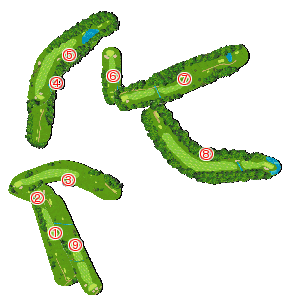 コース全体俯瞰図