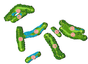 コース全体俯瞰図