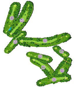 コース全体俯瞰図