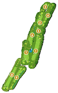 コース全体俯瞰図