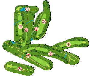コース全体俯瞰図