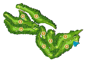 コース全体俯瞰図