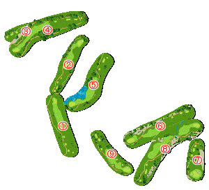 コース全体俯瞰図