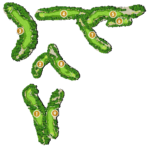 コース全体俯瞰図